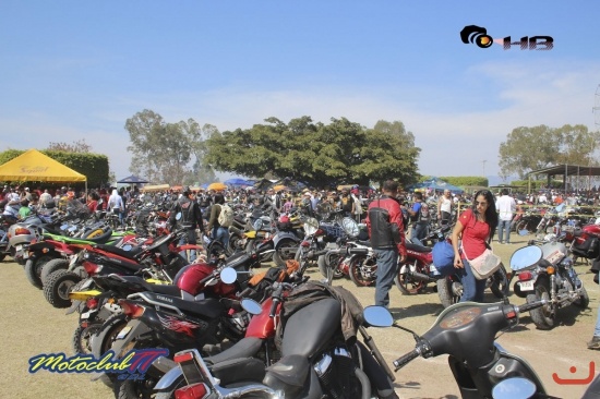 hosto 2014_1