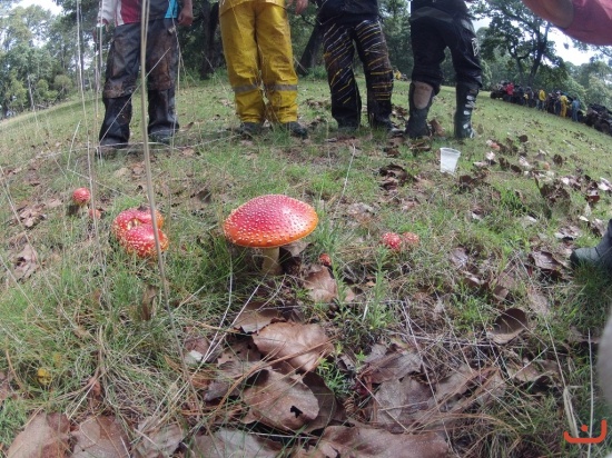 Juchipila 2015_4
