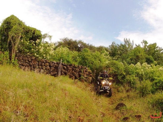 garabato 2015_7
