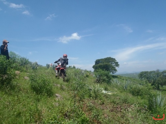 EL GARABATO_88