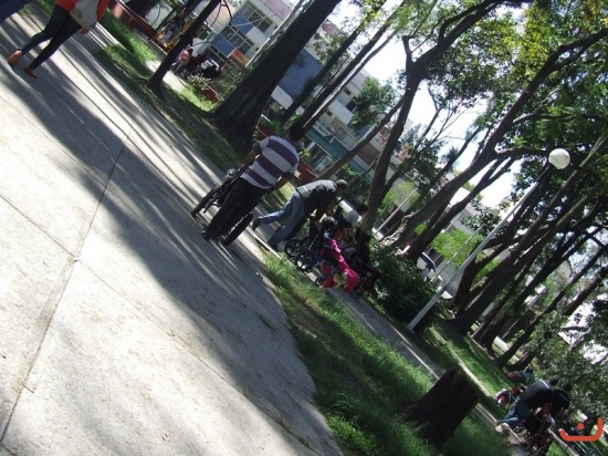 TT apoya 2013_46